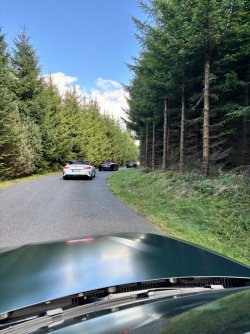 IMG_7453.jpeg