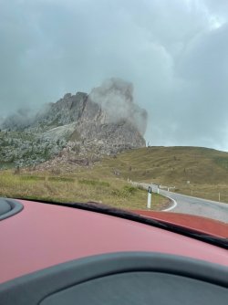 IMG_8948.jpeg