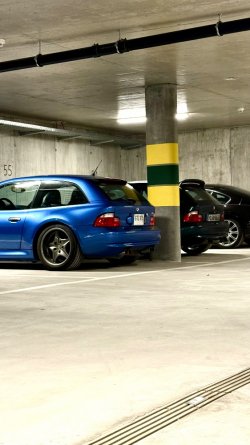 IMG_2851.jpeg