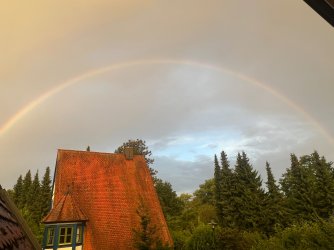 IMG_2825.jpeg