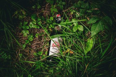 beuron gr yaris aug25 web (13).jpg
