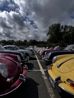 IMG_0381.jpeg
