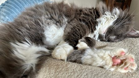IMG_4886.jpeg