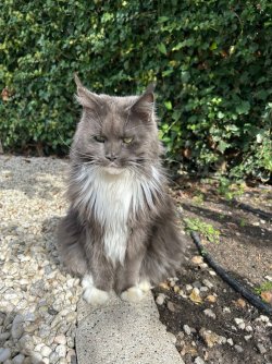 IMG_4883.jpeg