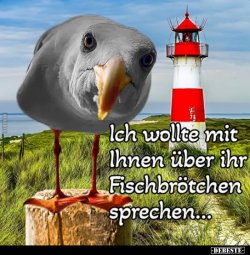 1758548245818.jpeg