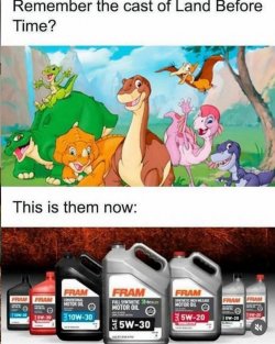 FB_IMG_1758560726453.jpg