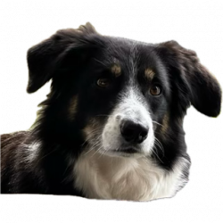 1758640149050.png