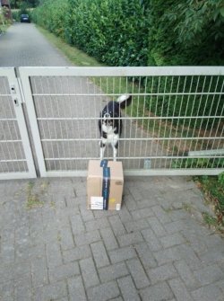 IMG_1683.jpeg