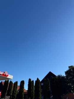 IMG_9003.jpeg