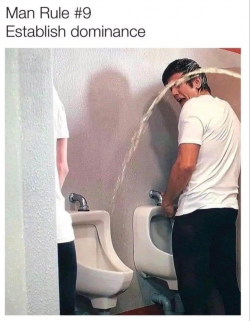 1759004411705.png