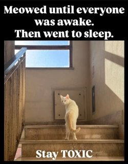 FB_IMG_1759426100283.jpg