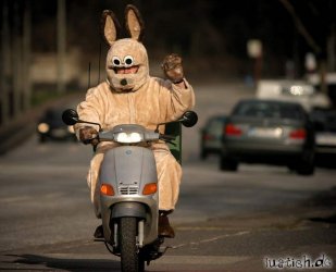 motorisierter-osterhase.jpg