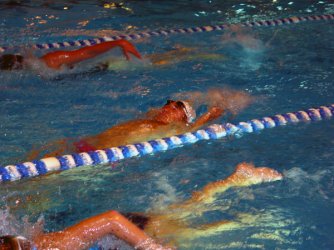 swim.jpg