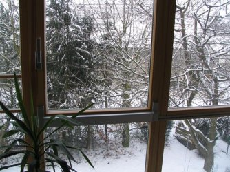 050129_w1.jpg