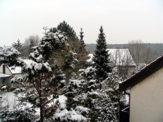 050129_w2.jpg