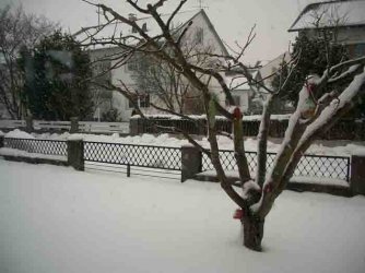 schnee2.jpg