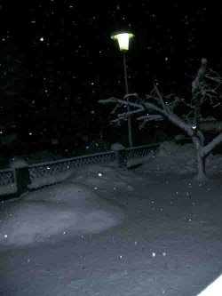 schnee3.jpg