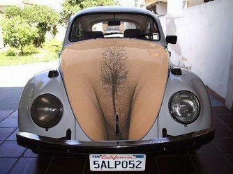 California VW Käfer.jpg