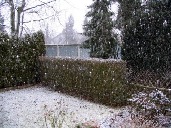 050213schnee.jpg