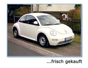 beetle-01.jpg