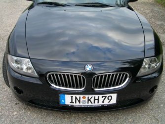 z433.jpg