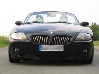 +z429.jpg