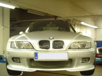 Flipper 005incognito.jpg