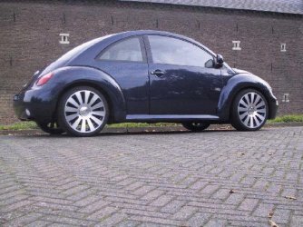 beetle a8.jpg
