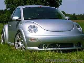 meiner beetle.jpg
