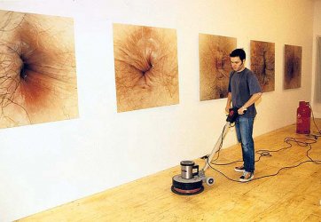 arschbilder an wand.jpg