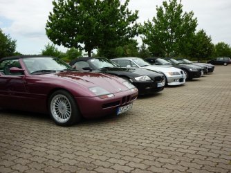 Parken bei Wörlitz.jpg