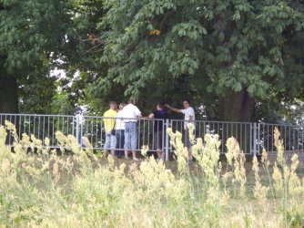 Bild 146.jpg