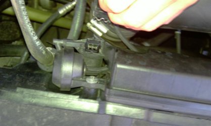 IMAG0135 (Medium).jpg