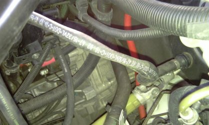 IMAG0133 (Medium).jpg