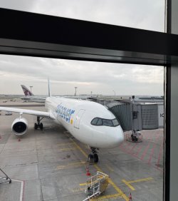 IMG_9106.jpeg