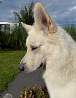 IMG_9050.jpeg