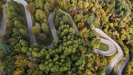DJI_20251016101954_0346_D.JPG