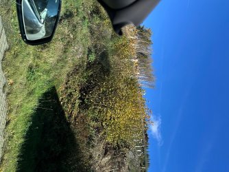 IMG_5753.jpeg