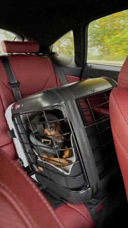 c989af55-eeff-4cb1-99ce-ab7bfadd3f31.jpeg c989af55-eeff-4cb1-99ce-ab7bfadd3f31.jpeg