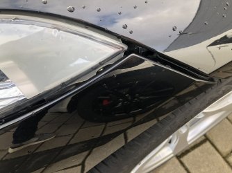 IMG_5541.jpeg IMG_5541.jpeg