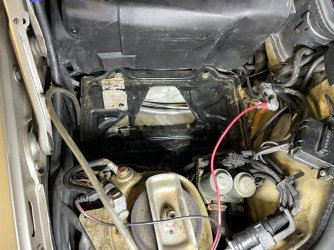 forum IMG_9901.jpg forum IMG_9901.jpg