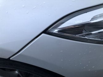 IMG_5550.jpeg IMG_5550.jpeg