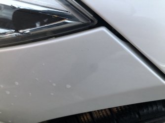 IMG_5552.jpeg IMG_5552.jpeg