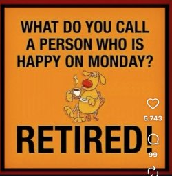 IMG_9875.jpeg IMG_9875.jpeg