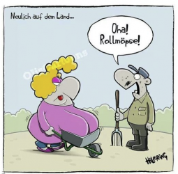 1762346969295.png 1762346969295.png