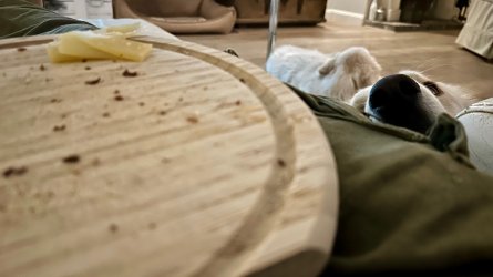 IMG_5310.jpeg IMG_5310.jpeg