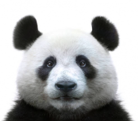 Screenshot 2025-11-06 141535.png