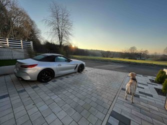 BMW Z4 Sonnenaufgang.jpg