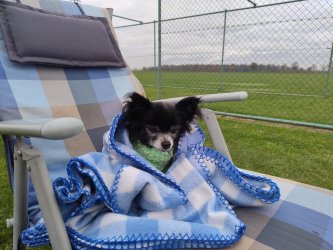 IMG-20251108-WA0009.jpg IMG-20251108-WA0009.jpg