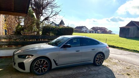 IMG_6882.jpeg IMG_6882.jpeg